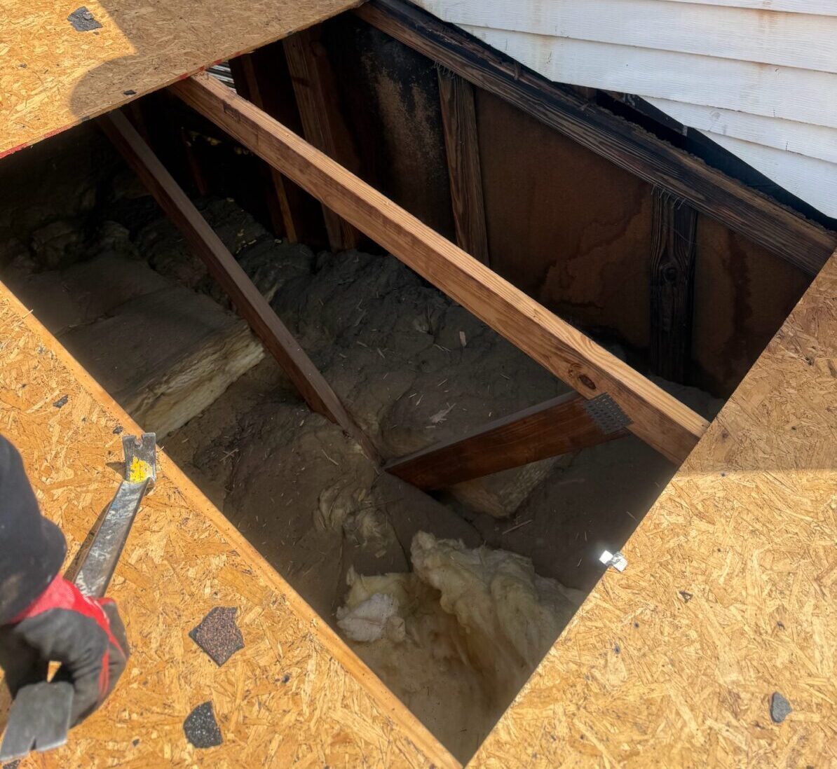 Screenshot_20250319_171122_Messages